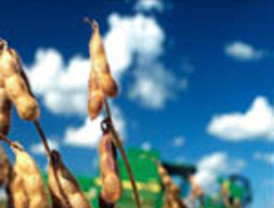 Felipe Calderón deroga delitos contra periodistas