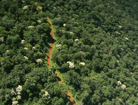 Economía colombiana cayó en 0,5 por ciento