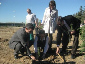 Plantan casi 200 árboles en Joven Futura para compensar las emisiones del Festival Estrella de Levante SOS 4.8