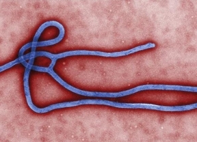 La OMS eleva a 3.879 el número de muertos por el brote de ébola