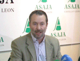 Asaja destaca la 'ligera' subida de la renta agraria en su balance anual