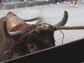 Concentración en Sevilla para protestar por la sentencia del 'Cuco'