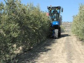 Putin asegura que 'EEUU y la UE están al borde de la recesión'