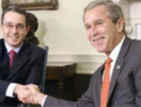 Encontraron en Montevideo larvas del mosquito transmisor del dengue