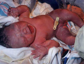 Transparencia Internacional ubica a Venezuela como el país más corrupto de Latinoamérica