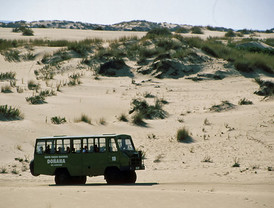 “Grata” impresión de los expertos internacionales sobre Doñana