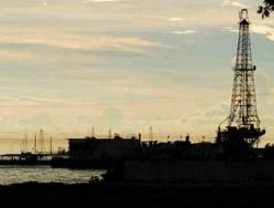 Especial elecciones de Estados Unidos Propuestas de Veteranos