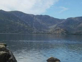 Hallan ocho bebés muertos en una casa