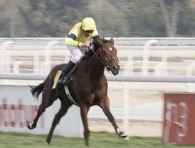 El PPN pide un perfil 'independiente' para el presidente de Caja Navarra