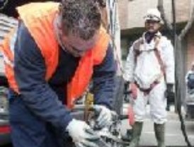 Gobierno garantiza la seguridad en las marchas