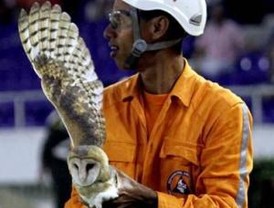 Jugador del Deportiva Pereira pateó una lechuza