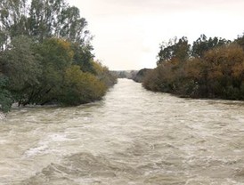 Activados planes de emergencia en Córdoba y Sevilla por fuertes lluvias