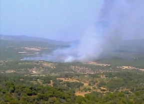 Estabilizado el incendio en El Real de San Vicente