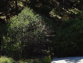 Oposición comenzó la guarimba electoral