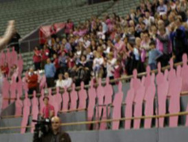 El Senado y los toros