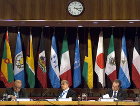 Los monos capuchinos, tienen la virtud de la bondad