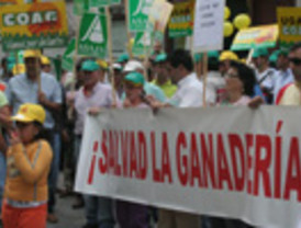 Guarinos: '2008 ha sido el año del fracaso político de Barreda'