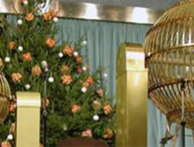 Hay más probabilidades de ganar con el 'Niño' que con el 'Gordo'