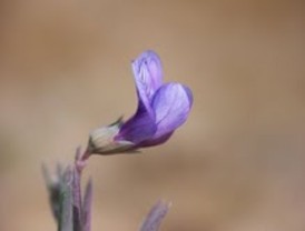 Militares acusados de “falsos positivos” están en libertad