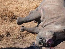 La deuda de Andalucía crece un 37% en el tercer trimestre