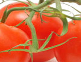 España necesita rebajar los salarios un 20%