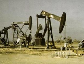 Entre el palo y la zanahoria