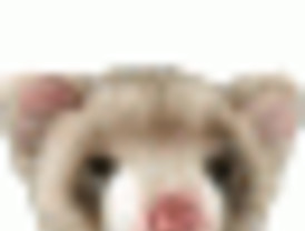 El Hurón: Gumersindo. Preguntas sin respuesta (de momento)