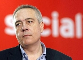 Pere Navarro insiste: España ganaría "imagen" sin este Rey