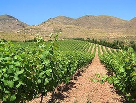 Arenas cada día más crecido