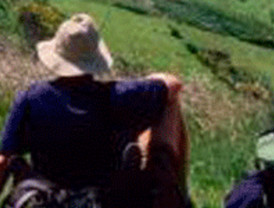 El Estado también tiene morosos: 6.000 millones pendientes de cobro en el TS