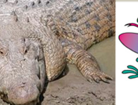 A falta de su visto bueno, Rato será el presidente de Caja Madrid