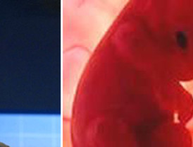 Fernández de la Vega: 'España estará en Washington'