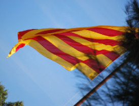 CCOO cifra en un millón lo defraudado por la empresa que usó discapacitados