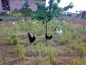 Luis del Rivero, el hombre que quiso echar a González del BBVA