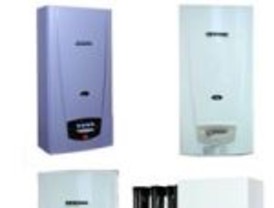 Gladiolos venciendo la barbarie