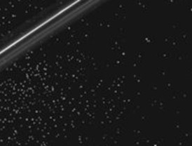 Lanzarán candidato común PAN, PRD, PT y Convergencia Oaxaca