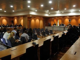 La Audiencia retoma el juicio del caso 'Malaya'