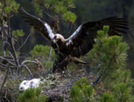 Rifai apuesta por el turismo como motor para salir de la crisis