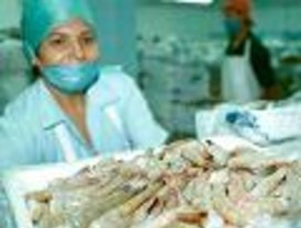 Más transparencia en la venta y alquiler de derechos de pesca en la UE