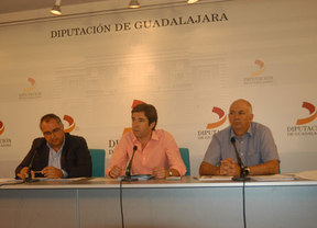 La Diputación pedirá que se mantenga la línea de tren Guadalajara-Sigüenza
