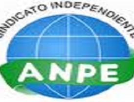 Inicio de clases será el 4 de octubre