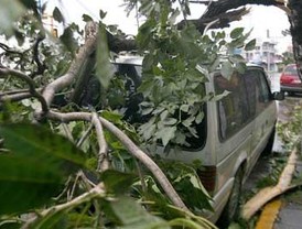 El Centro de Época Visigoda, cada vez más cerca