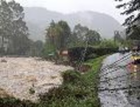 La Robolución y sus paladines con el moño suelto…