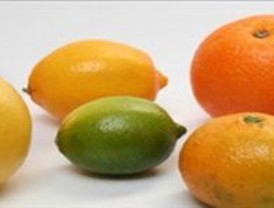 Los limones, las cebollas y las naranjas se encarecen hasta un 21,7% en el último año