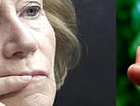 Salgado y los eternos brotes verdes... que no brotan