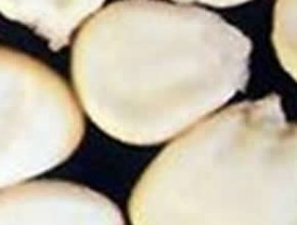 Pérez Rubalcaba se equivoca