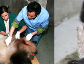 Respuesta de UPN a los 'populares'