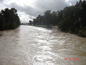 El Argamasilla vuelve a desbordarse y causa nuevas inundaciones en Écija