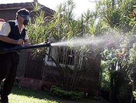 El Gobierno de Ecuador distribuirá gratuitamente focos ahorradores de energía