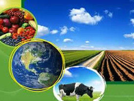 Piden agricultura que proteja medio ambiente